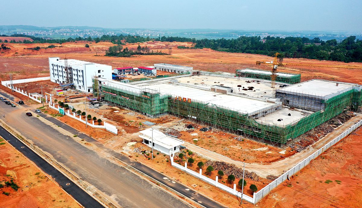 磨憨—磨丁合作区投资促进会议和培训会议顺利召开，推动项目落地与招商目标达成