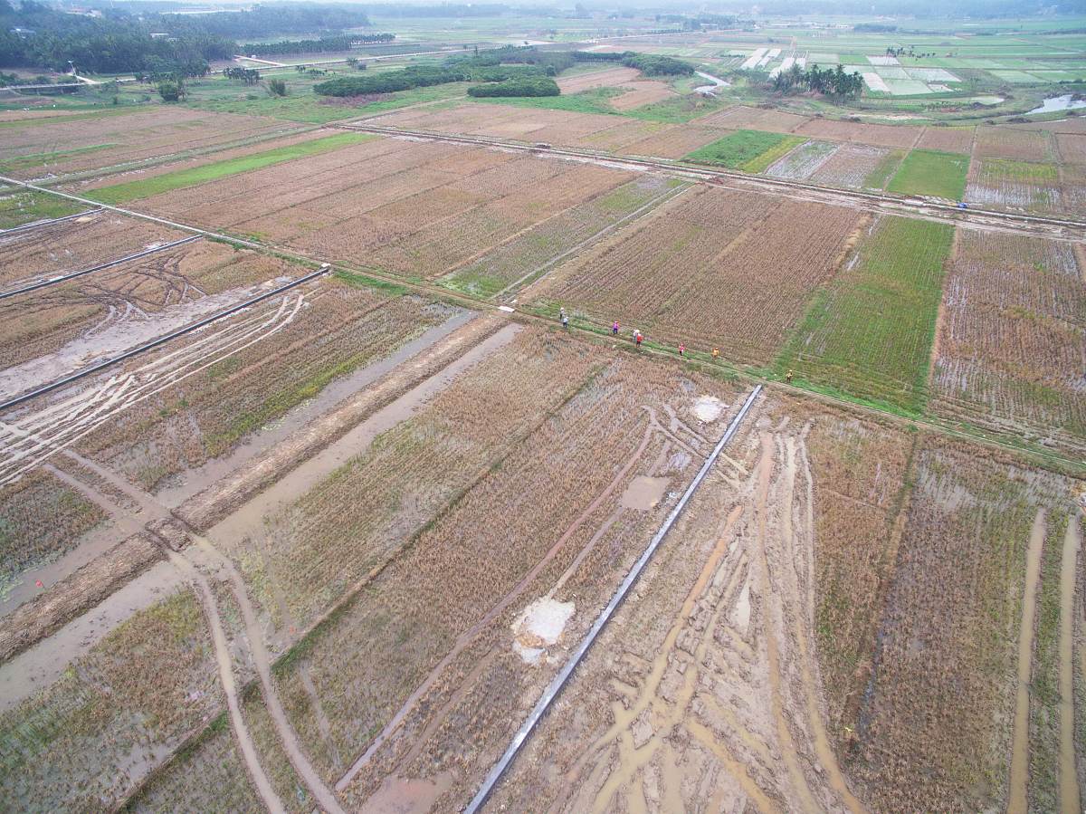 帮我把以下文章浓缩成三十字不到的两句话为贯彻落实党的二十大关于逐步把永久基本农田全部建成高标准农田的决策部署确保高标准农田建设任务保质保量如期完成近日农业农村部办公厅印发了《旱地高标准农田建设技术规范试行》以下简称《规范试行》指导各地统筹做好在缺乏灌溉水源的地区开展高标准农田建设有关工作。 《规范试行》与《全国高标准农田建设规划2021-2030年》等相关政策规划和《高标准农田建设通则》GBT3