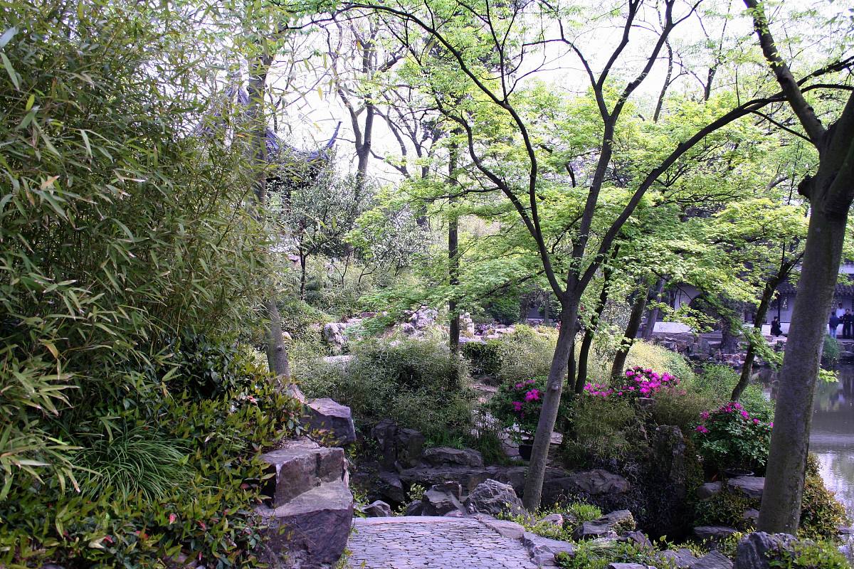 徜徉诗情画意：与园林植物相伴的读书之乐