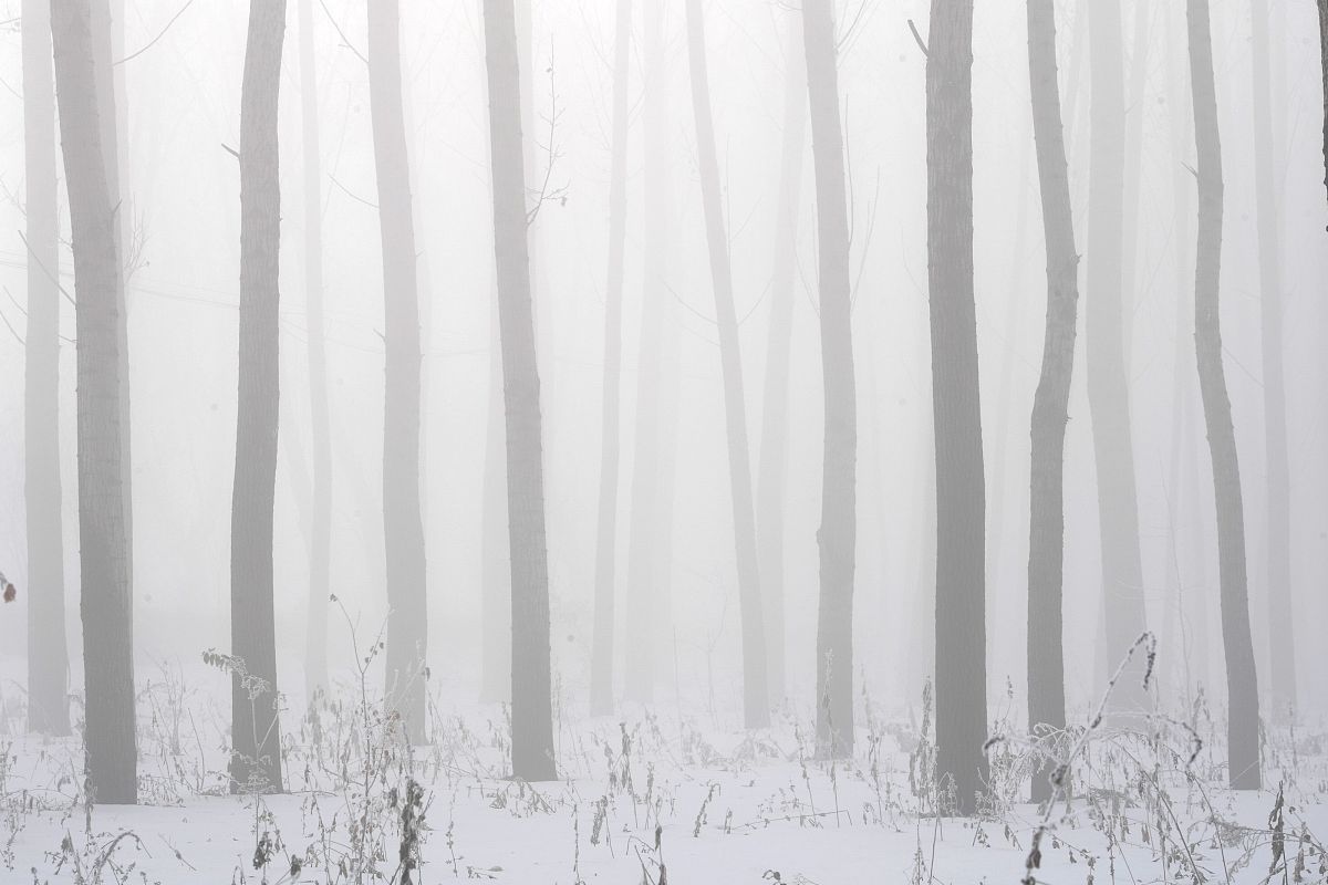 火车鸣笛扰民的解决方案有哪些