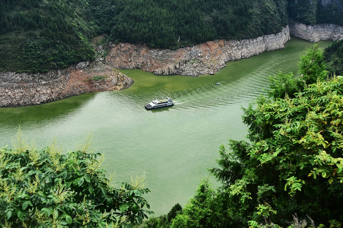 重庆高中卫校有哪些学校？推荐榜单及专业解析