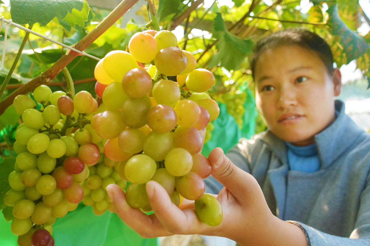安庆中小学开学时间：最新消息及开学准备