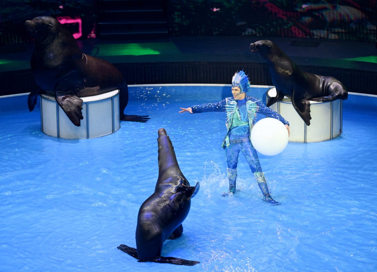 海底出现大门图高清图片大全