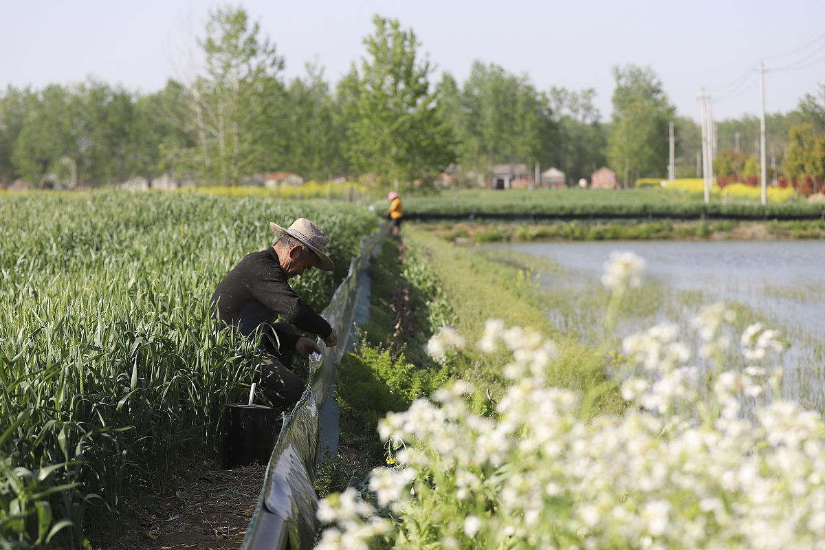 江苏洪泽中等专业学校2022年招生计划：解读及报考指南