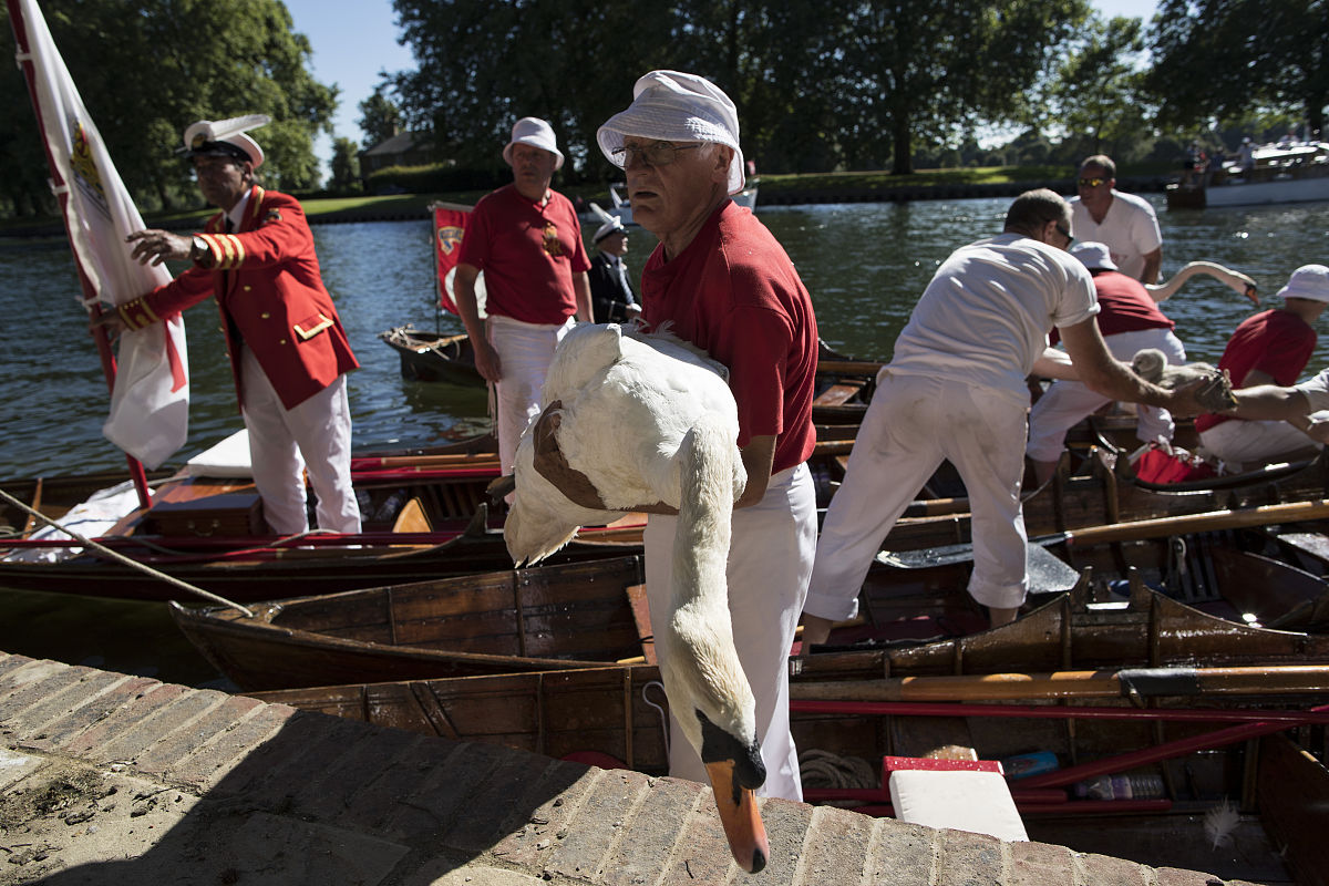 南昌大学医学院眼视光学专业怎么样