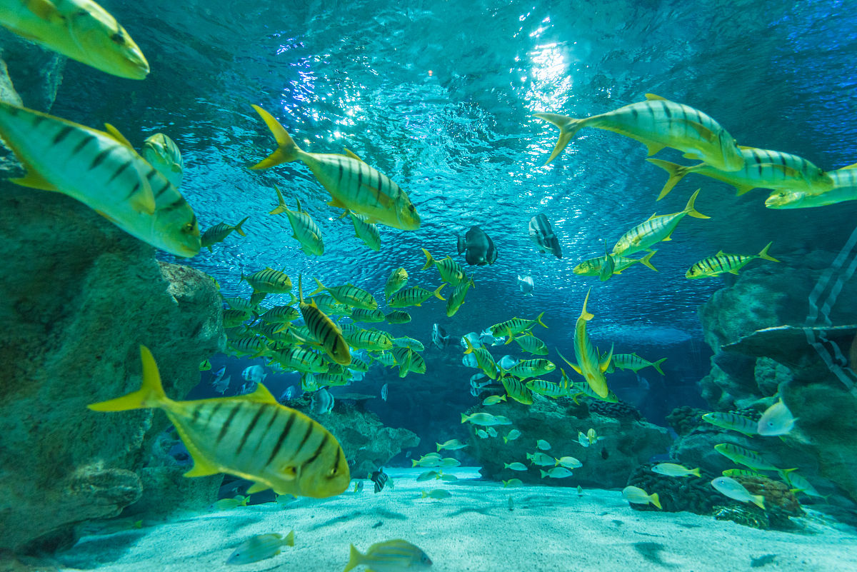 大连海事大学海洋资源与环境专业怎么样