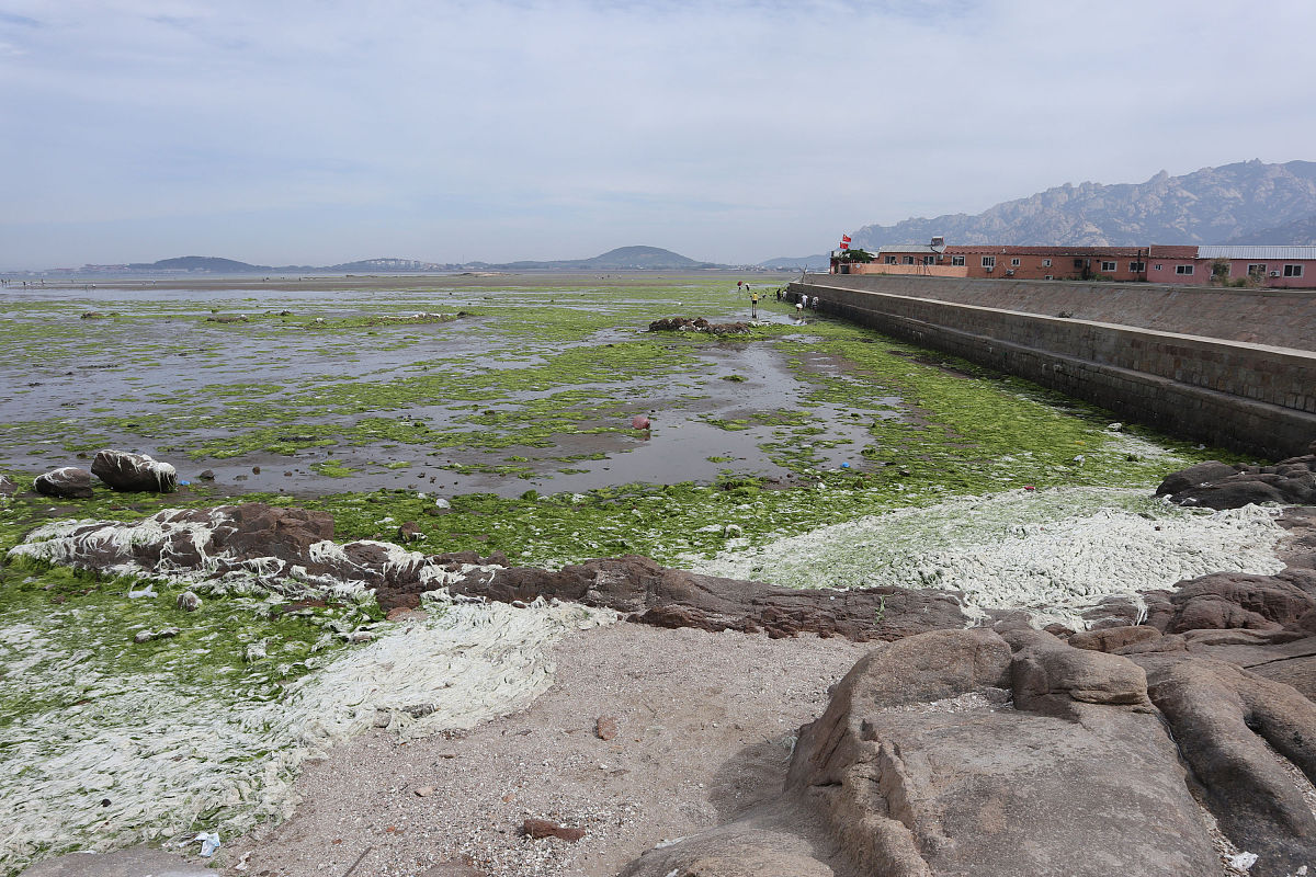 生态环境保护不足：由于城市化进程加快青岛市的生态环境受到了很大的影响尤其是水污染和空气污染问题突出。同时市民对环境保护的意识还不够强烈导致环境问题得不到有效解决。
