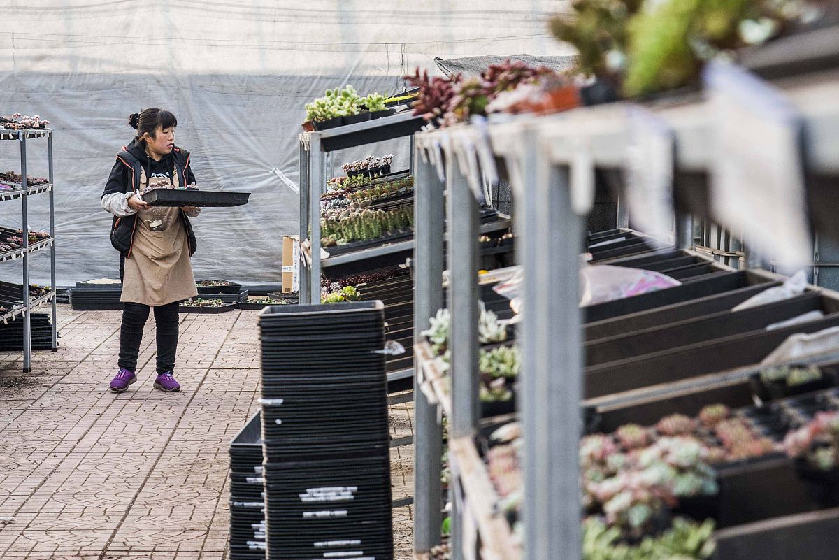 东北财经大学广告学专业怎么样