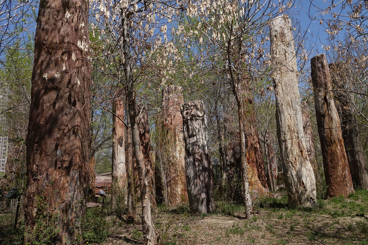 基于4P理论的子洲县富发农业科技有限公司黄芪产品市场营销策略优化研究