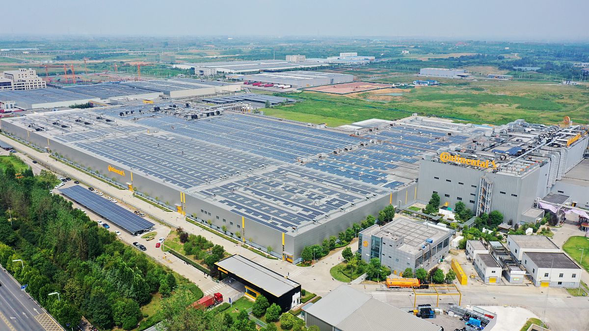 合肥中专和大专哪个好就业？2023年最新分析