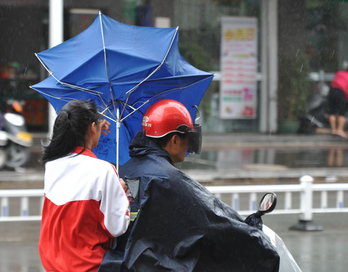 令人敬佩的“撑伞者”：从黑暗中走出的希望之光