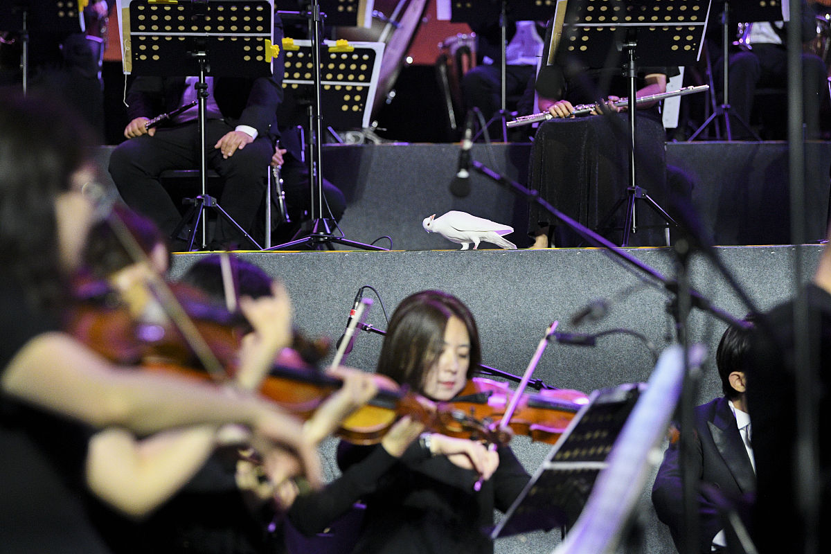 如何在音乐领域打造你的梦之队？