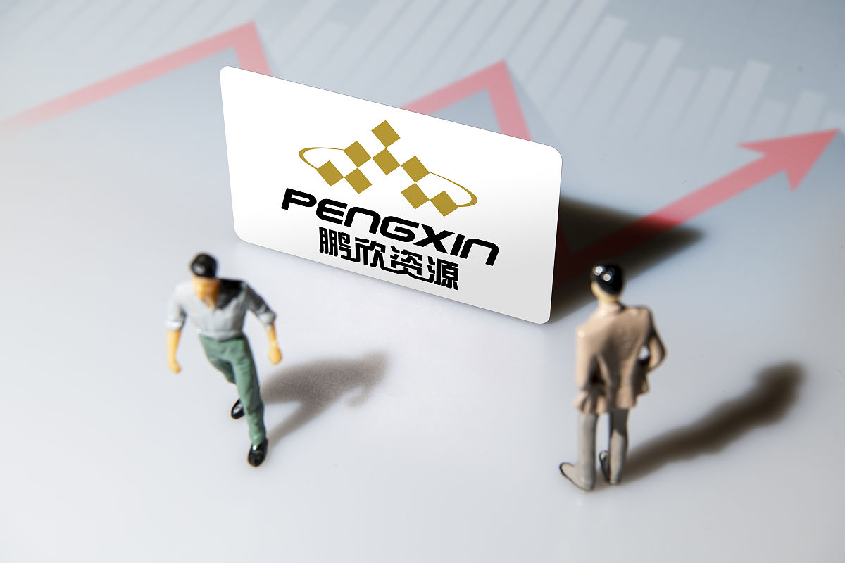 商业配图:鹏欣资源