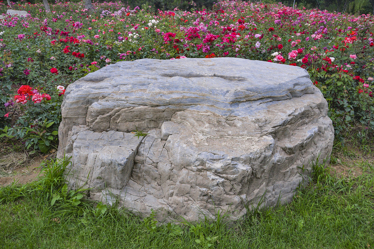 甘肃煤碳工业学校2021年有哪些招生专业