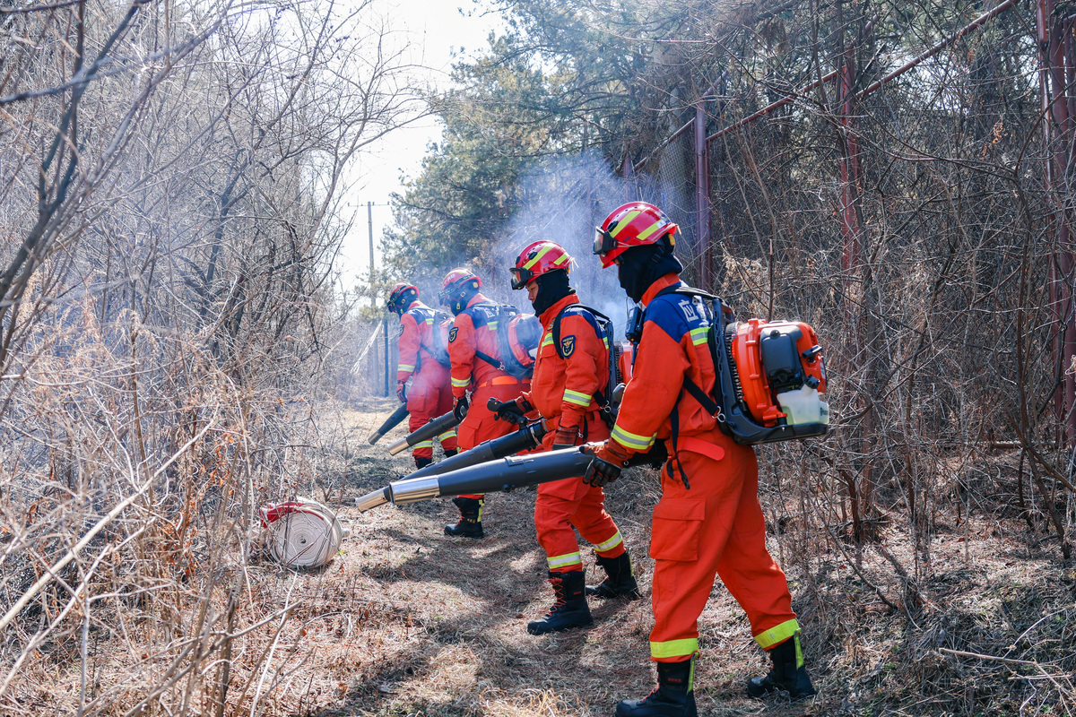 森林防火指挥与通讯专业情况