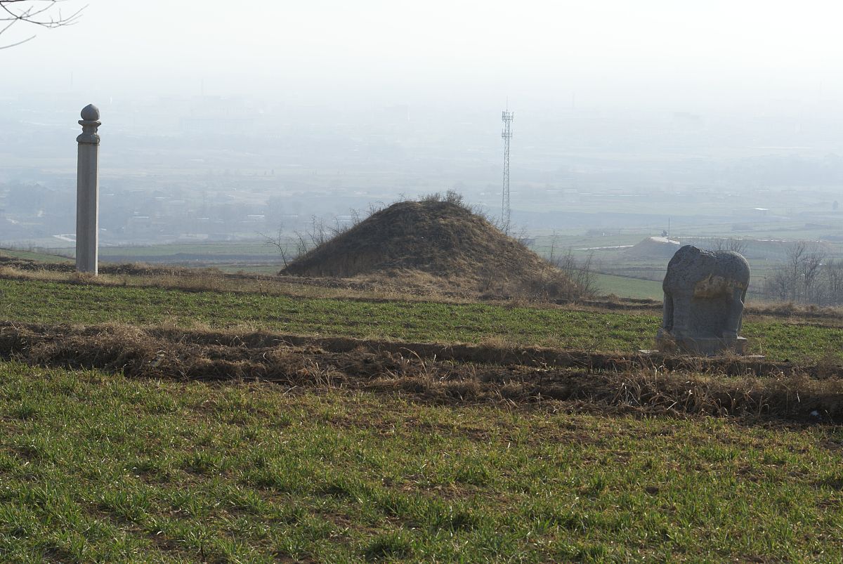 写一份乾县联社关于2024年各项金融统计制度的修订建议包括新增、修改、终止表单或指标建议中药附带简要修订原因的报告