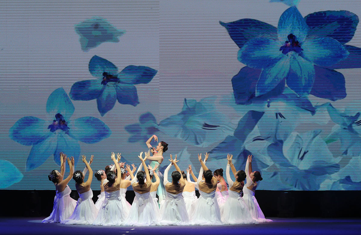 毕业舞蹈展演在大学教育中的地位和意义 - 培养全面发展和艺术素养