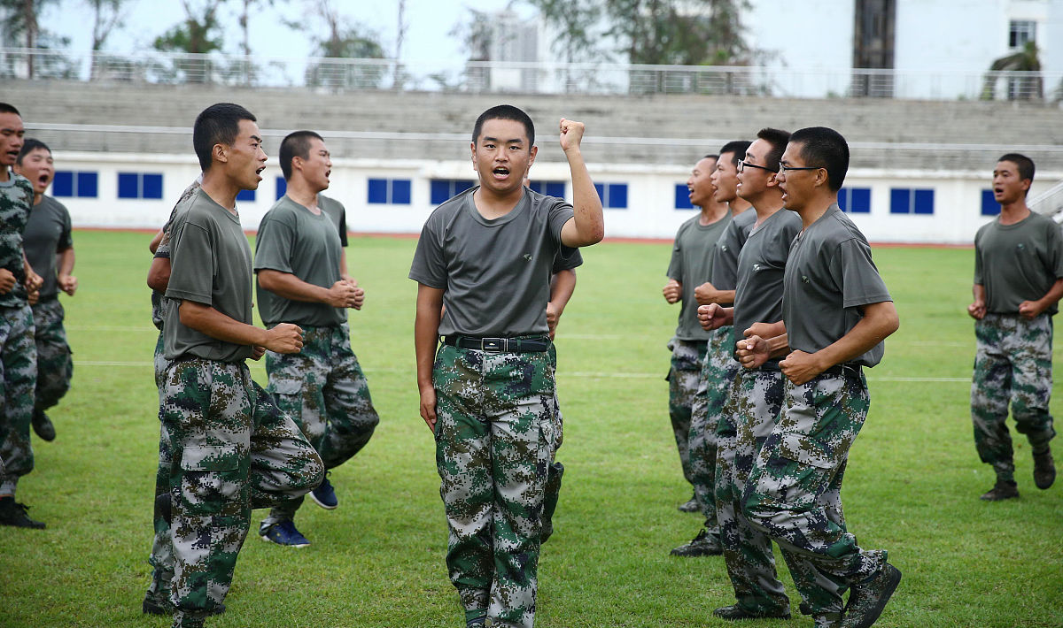 新警军训心得体会：团队合作、纪律、体能和初心