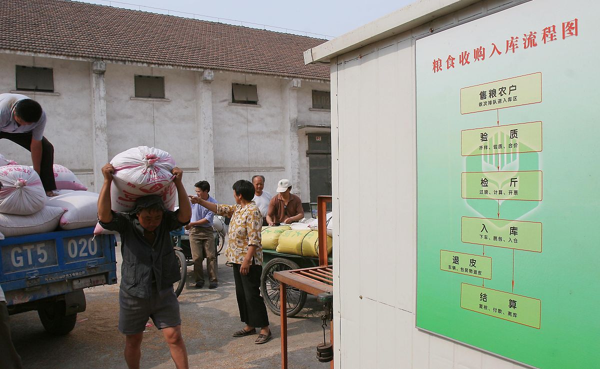 农村土地争议找谁。要求：写一篇500字左右的文章不能出现电话。