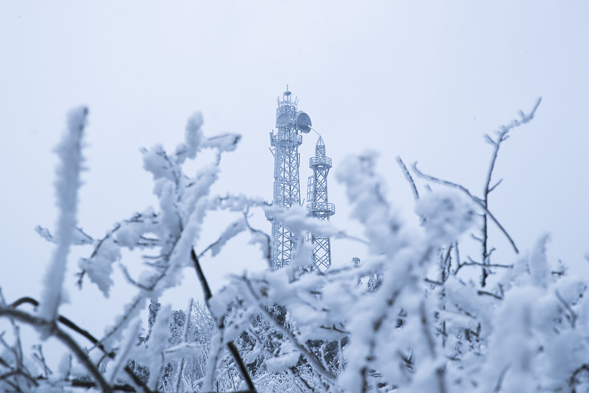 毕节市七星关区中等职业学校 2023年招生简章