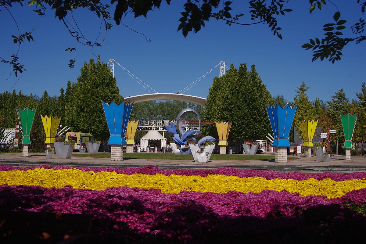 秋日漫步：公园里的美好风景