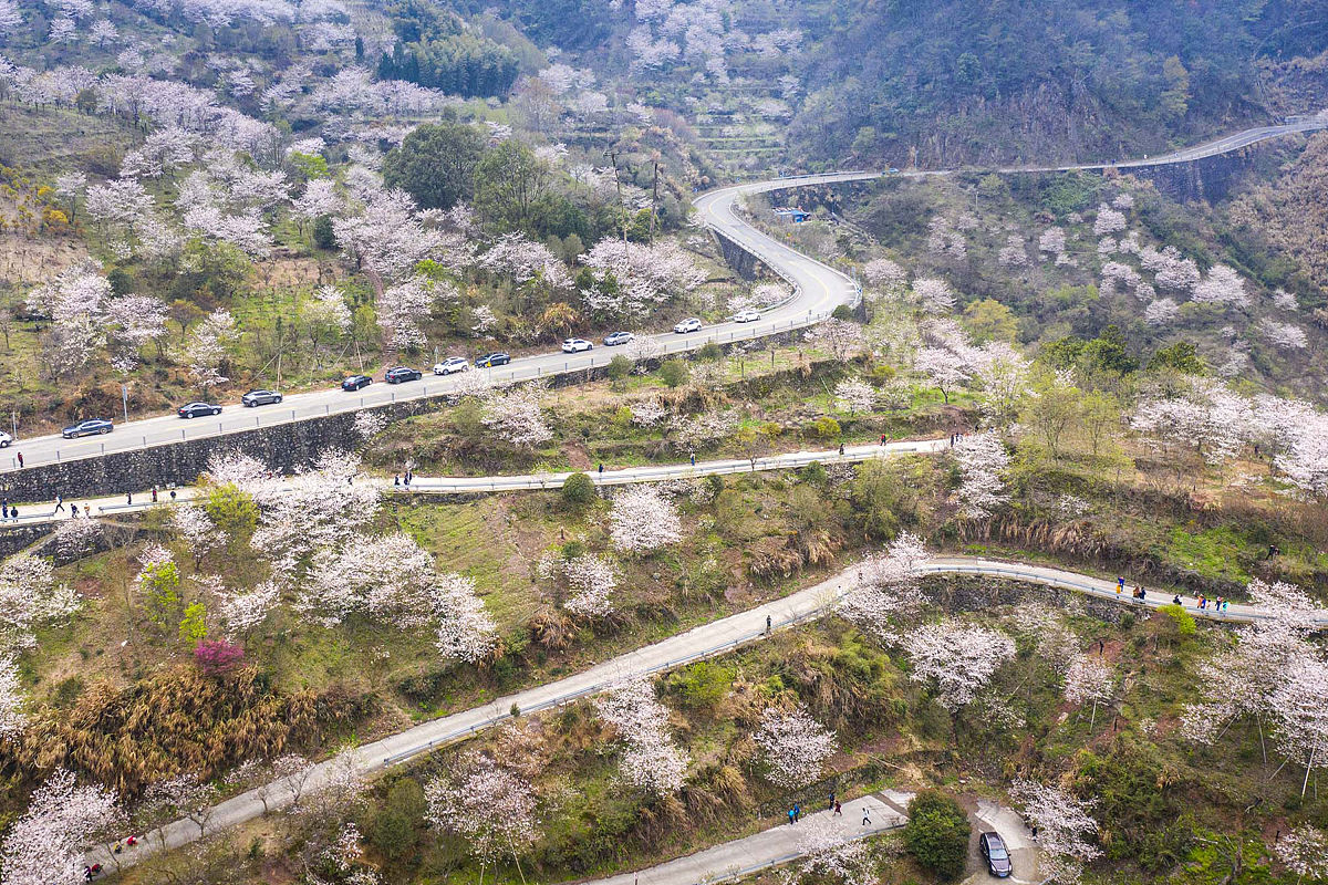 宁波市交通技工学校公路施工与养护专业好学吗就业前景好不好