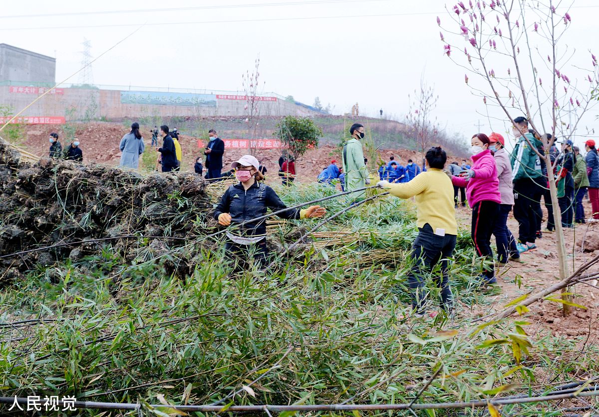 鸡窝渡村的土地规划的调查实习报告三千字左右