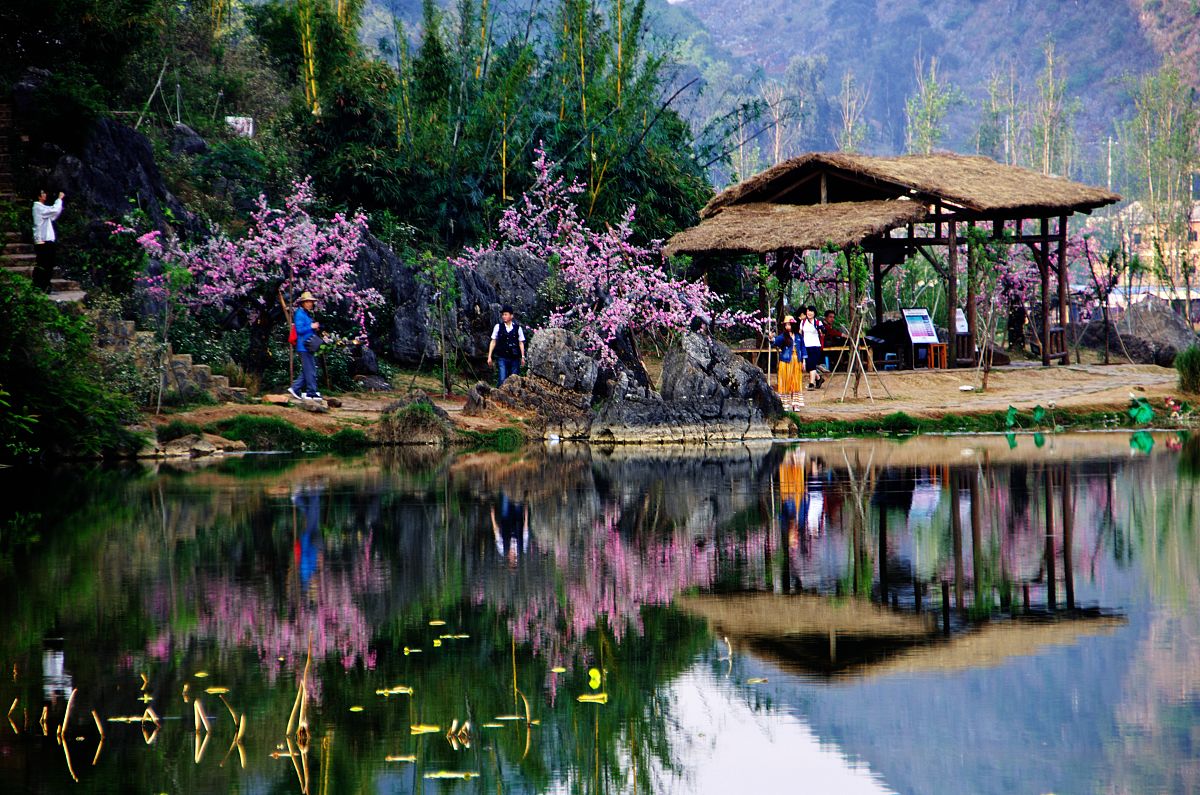 中国的五个桃花源？哪一个才是真正的桃花源