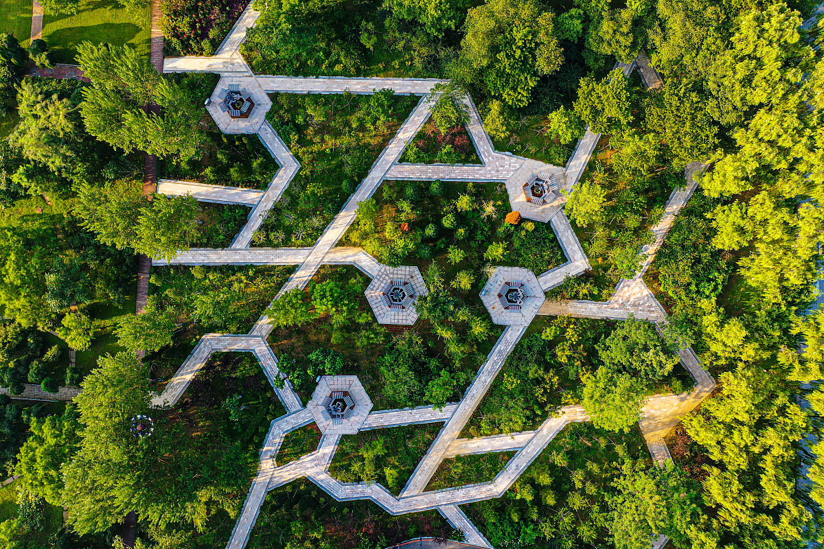 沈阳职业技术学院的通信技术专业主要学习哪些课程