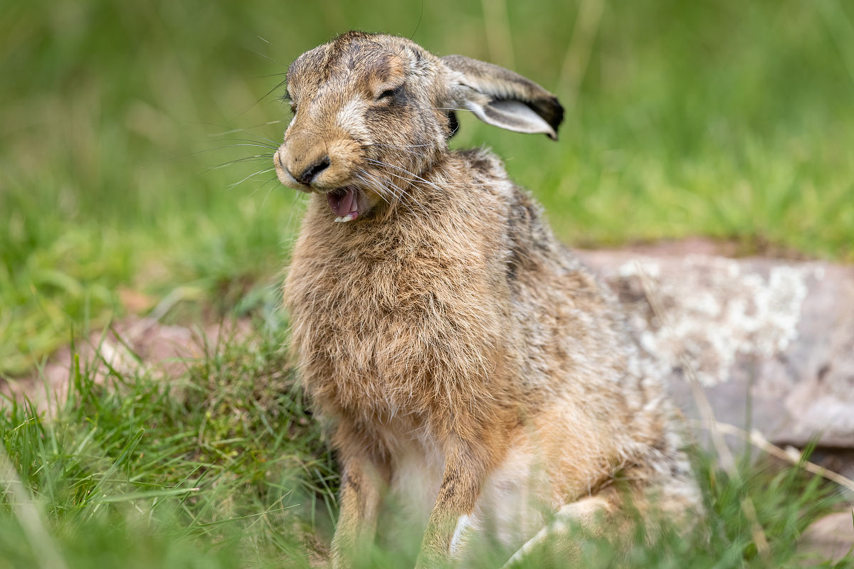 山西农业广播电视学校怎么样、好不好