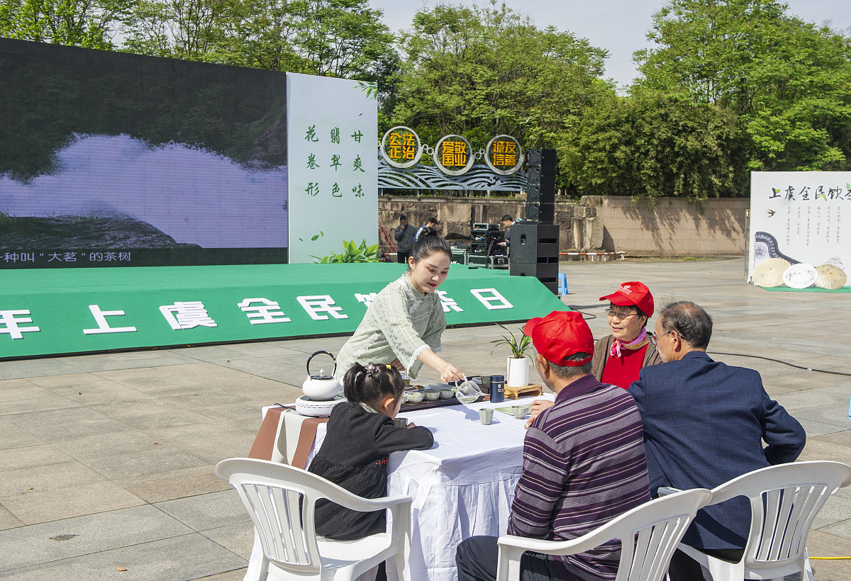零点以后喝白茶好吗？时间、咖啡因、睡眠影响分析