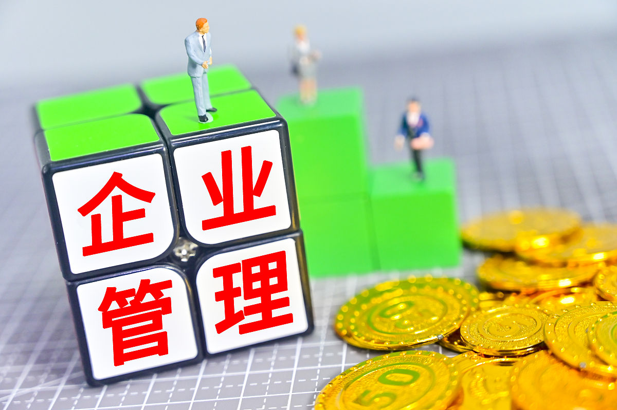 国企人力资源管理创新研究：以某中央企业为例 - 青马工程学习论文
