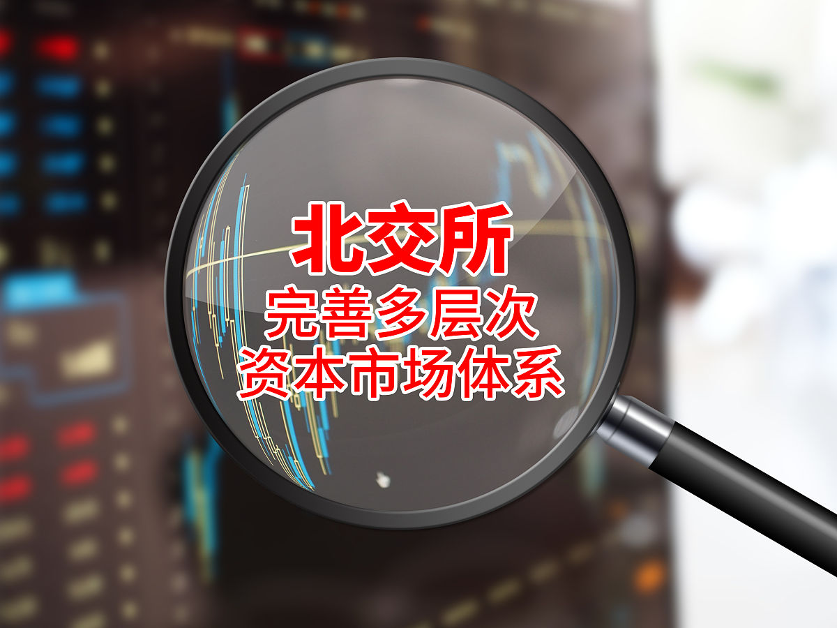 政府采购公开透明原则：全方位解读