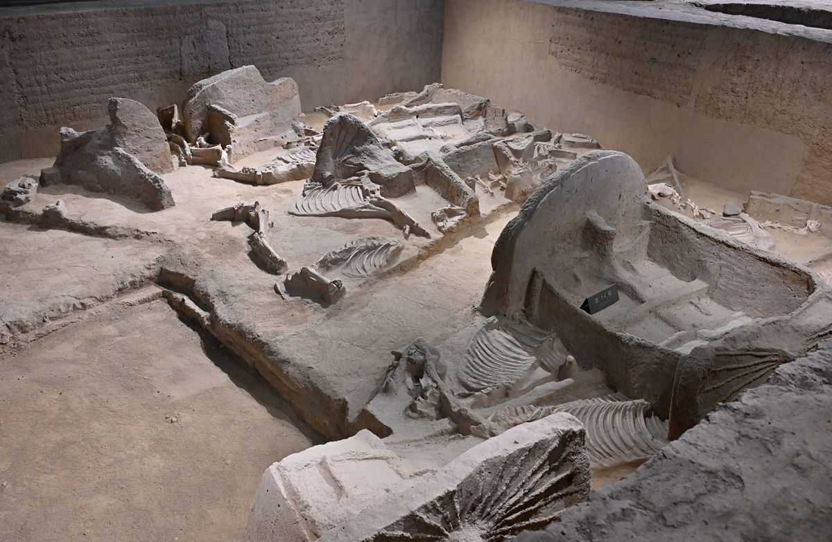 考古学文化：探索人类文明的奥秘