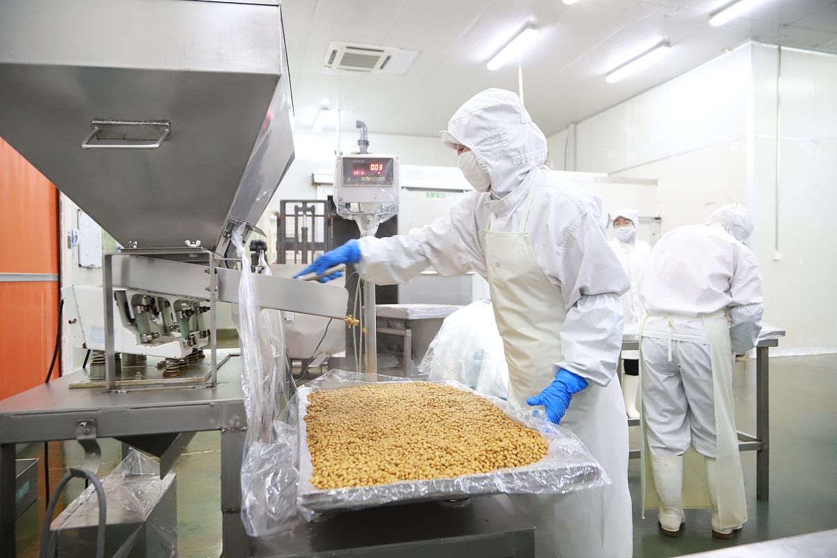 大豆产品生产情况检查与收货人计划了解