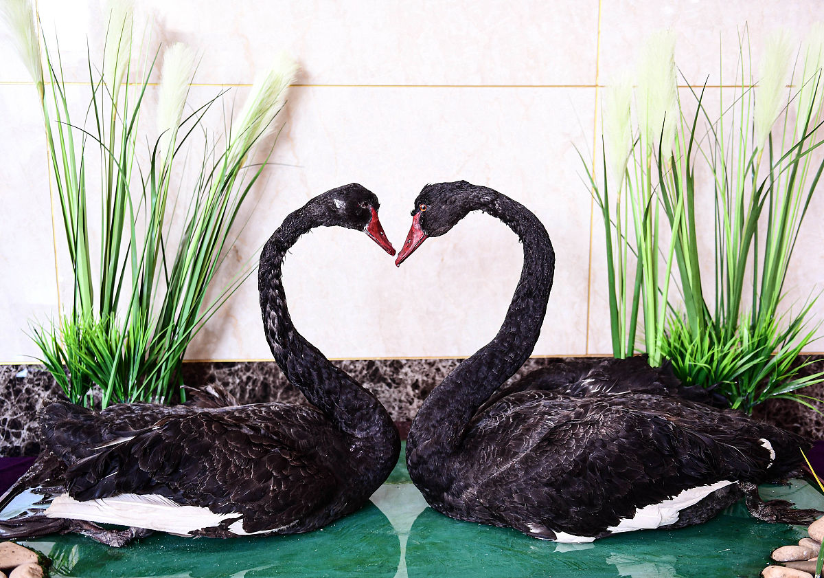 贵州商业高等专科学校招生办联系电话