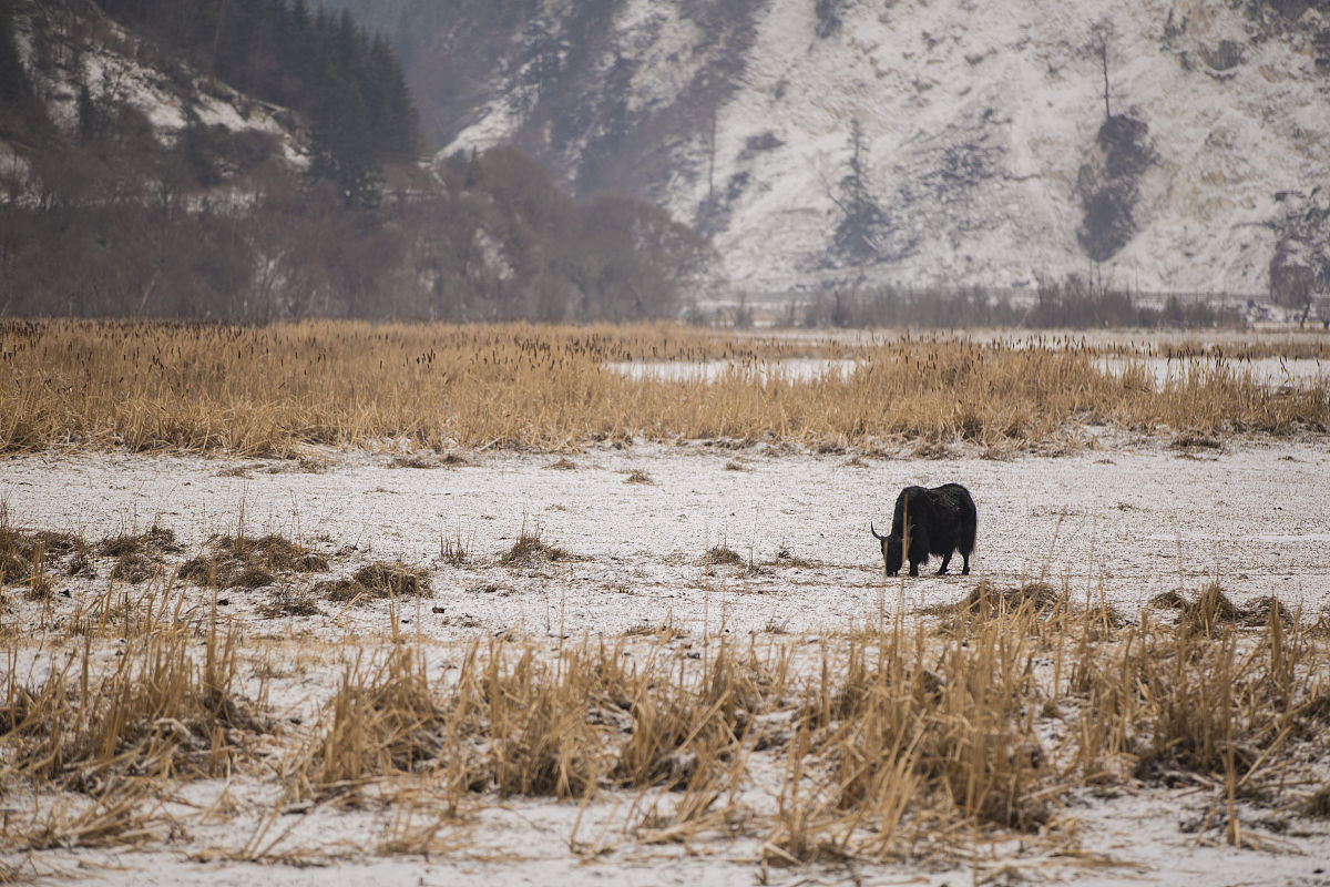四川工商职业技术学院2019年省外招生专业