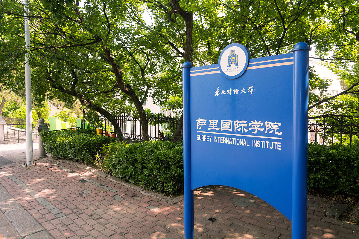 东北财经大学财政学专业怎么样？师资力量雄厚，实践机会丰富！