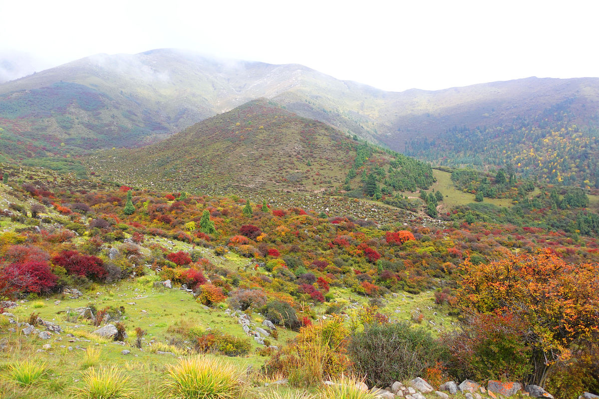 甘南州中等职业学校2022年录取分数线是多少？