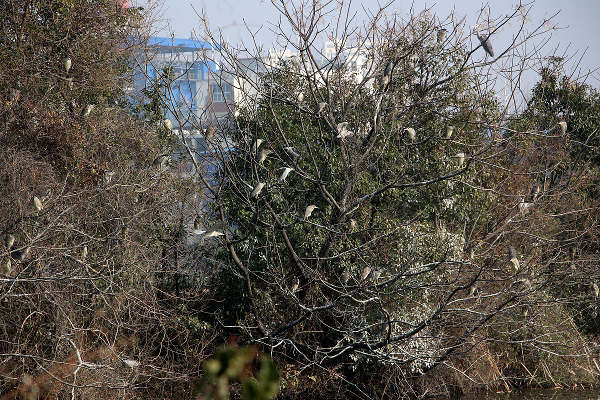 孝感卫校2022年分数线用发