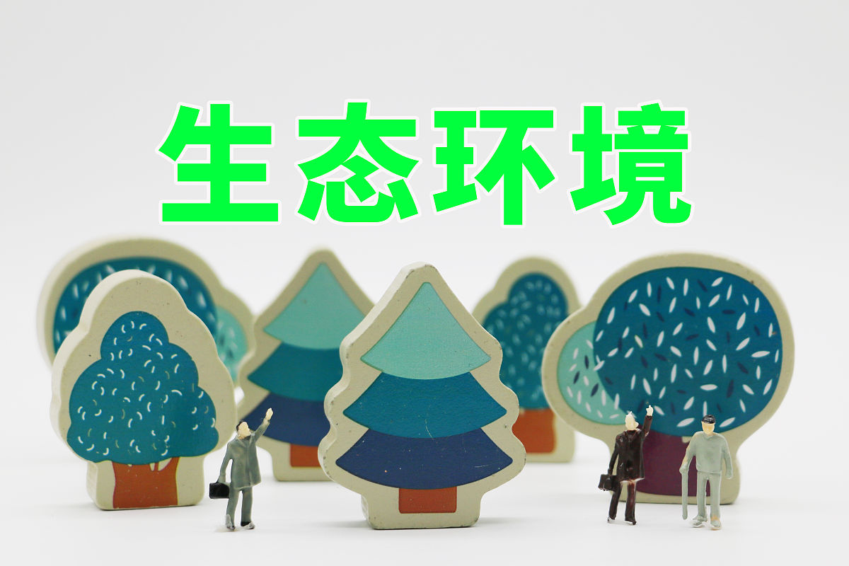 以人与自然和谐共生现代化的哲学研究为题目写一篇6000字课程论文 以人与自然和谐共生现代化的哲学研究为题目写一篇6000字课程论文