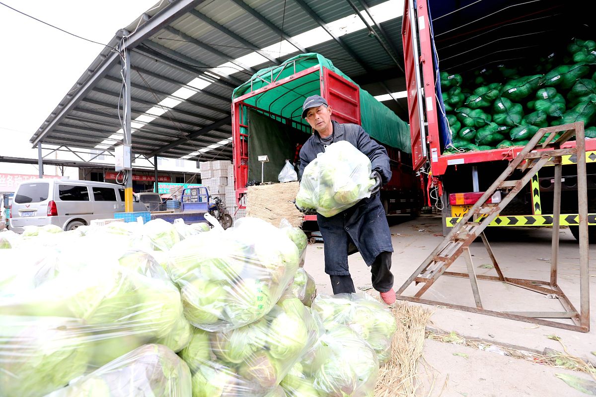 粮食加工物流行业存在的问题