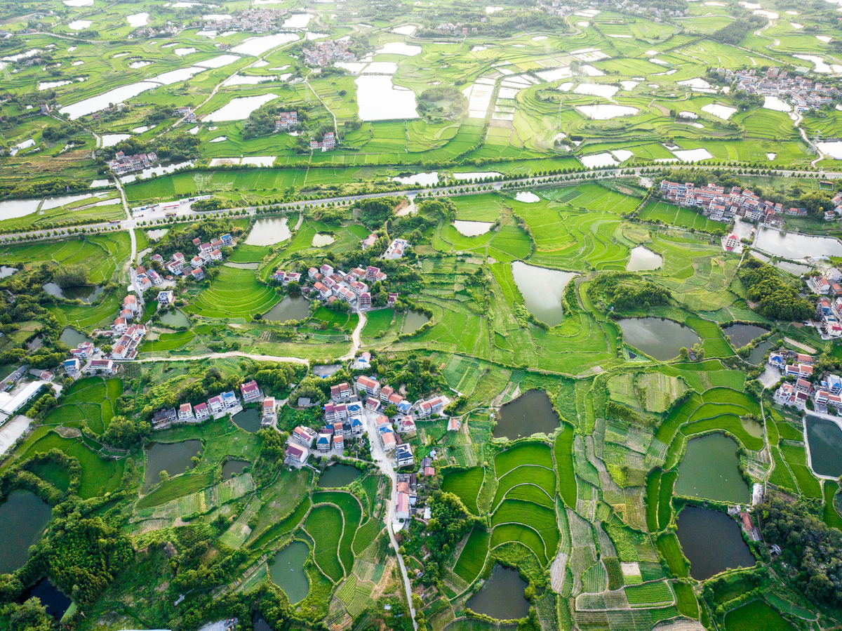 汉江村：岳阳县农业旅游胜地，古韵与现代交融