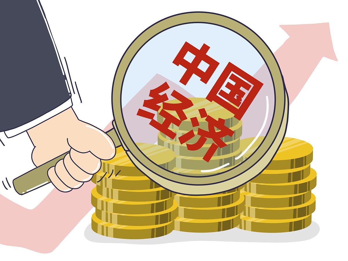 中国经济安全：挑战与应对