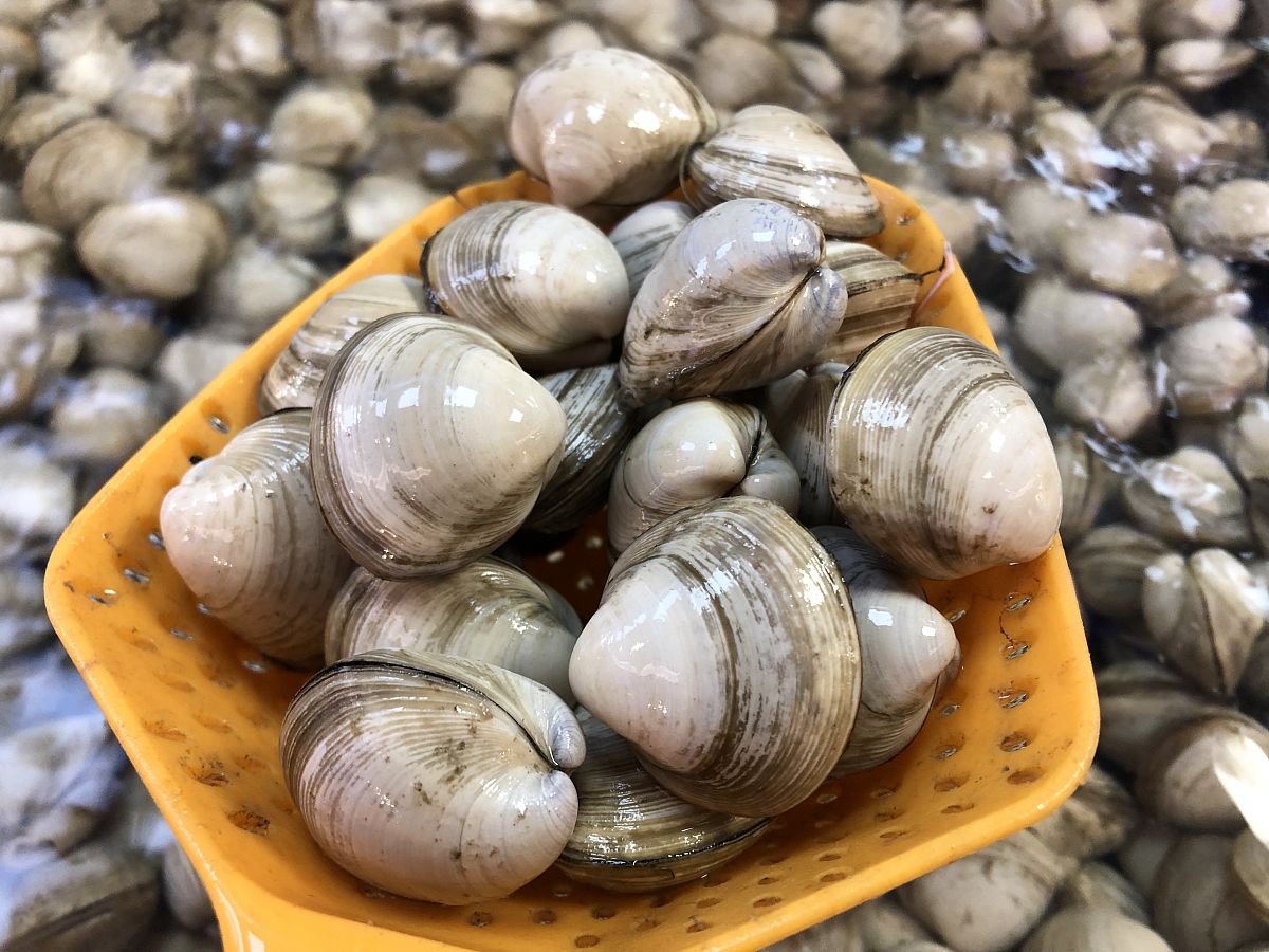 买的活花甲能不能过夜，