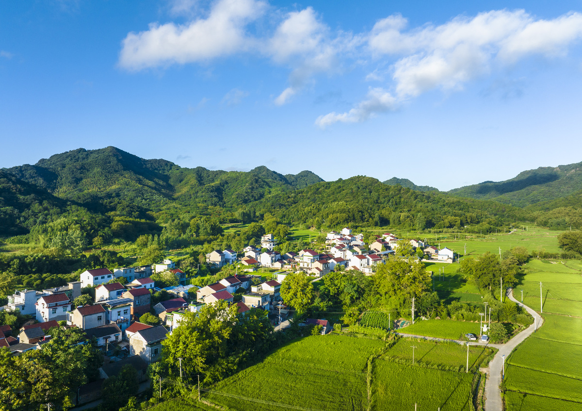 城乡之美：解读城市与乡村的魅力与特色