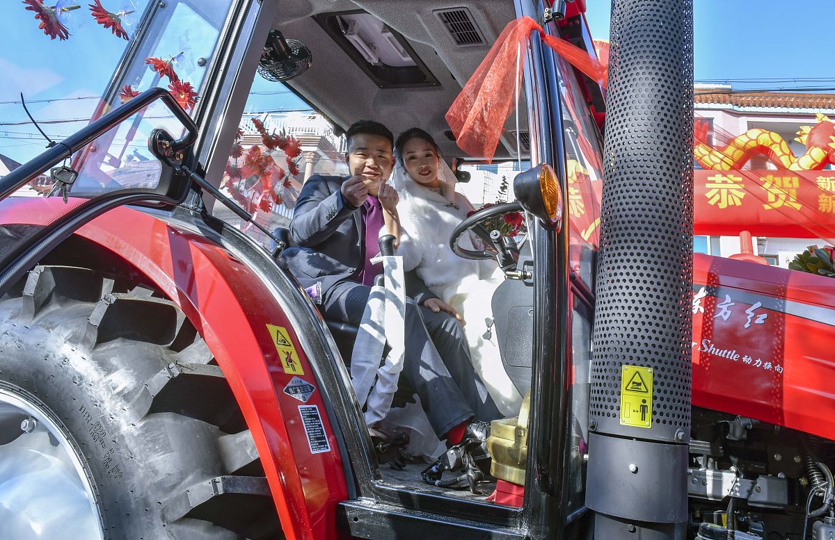 绍兴嵊州市东圃镇有多少人口