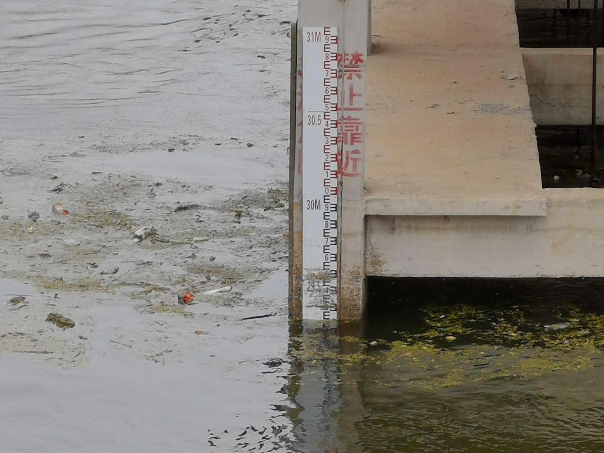 济民塘水质调查：排污口总磷浓度分析及水质指纹特征