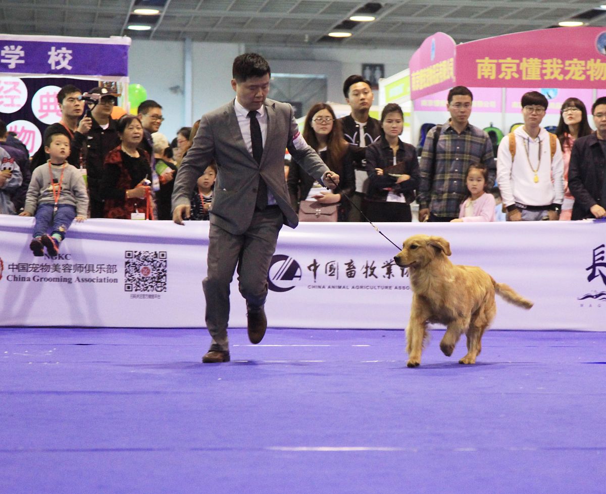 江苏2023年哪所卫校好-怎么样