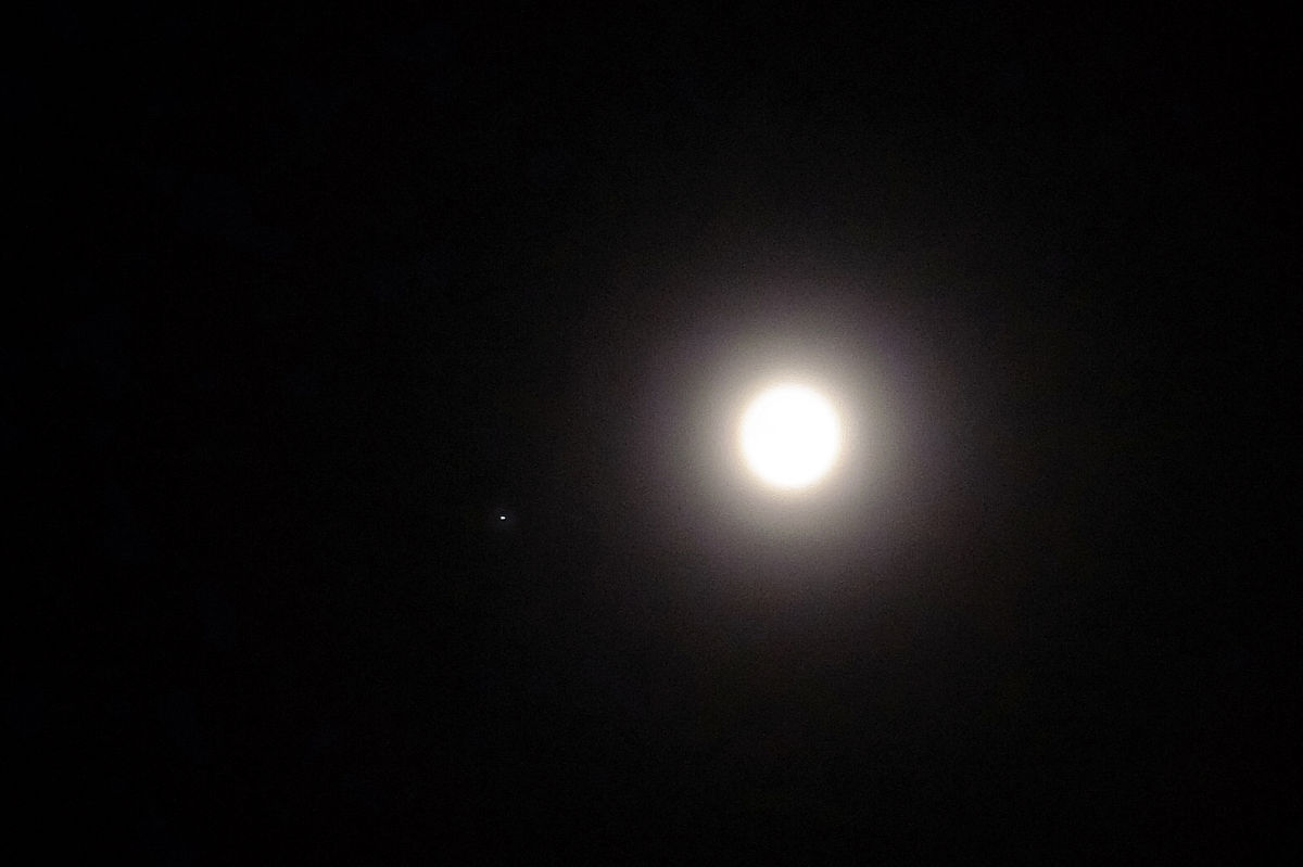 金星伴月：夜空中两颗璀璨的星
